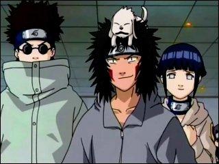 Shino, Kiba a Akamaru, Hinata.jpg